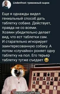 Действуй собака