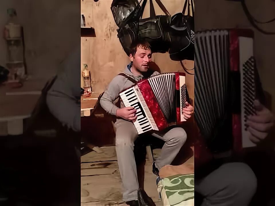 Башкирия это вам не сирия. Село базлык (васильевка). Песня это вам не сирия. Песня это вам не сирия. Алло башкирия.