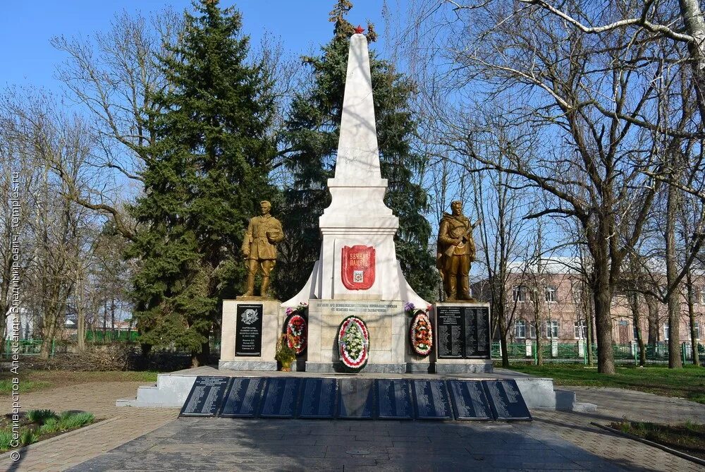 Станица новомышастовская. Новомышастовская краснодарский край бассейн. Шевченко 19 станица новомышастовская. Новомышастовская краснодарский край. Дк станица новомышастовская.