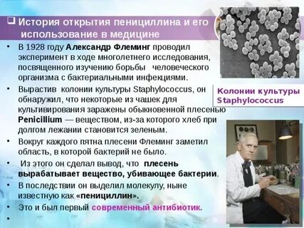 Научное открытие пенициллин