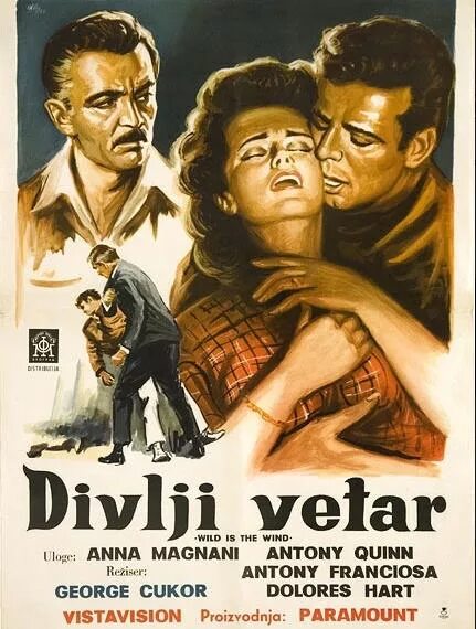 Дикий ветер 1957. Wild is the wind перевод. Path of the wind ноты для фортепиано. Wild is the wind перевод. Дикая фильм постер.