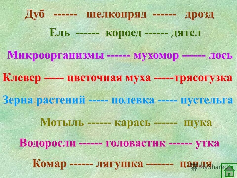 Нектар цветов муха синица цепь