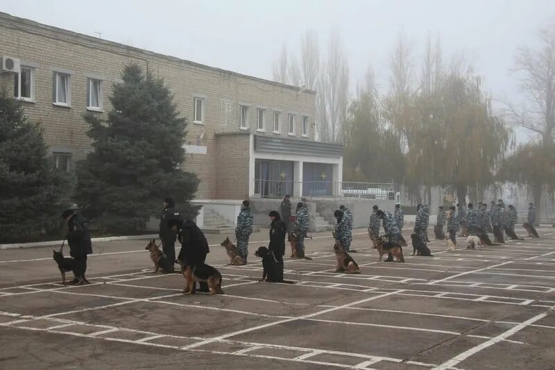 Всо про. Что такое зона всо.