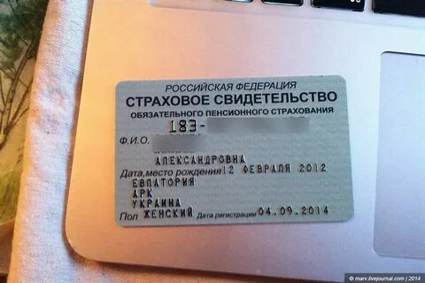 Как узнать номер социального фонда