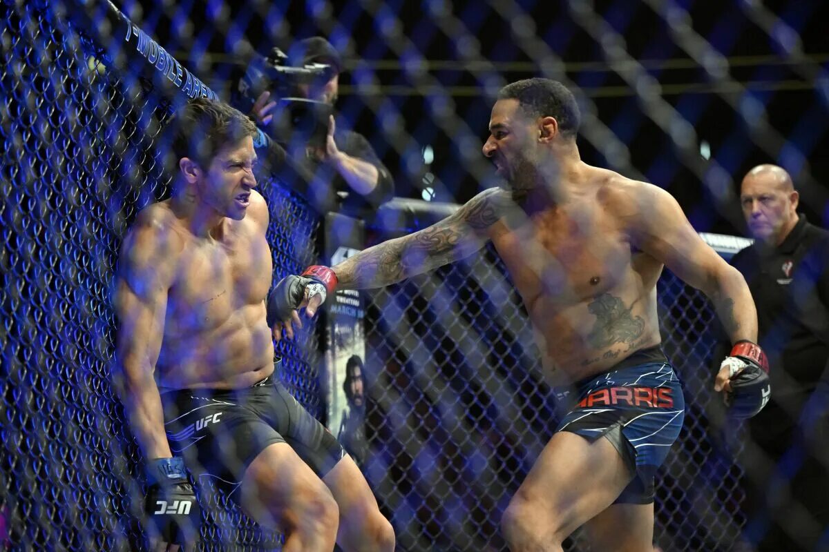 Джилленхол ufc. Джилленхол ufc. Джейк джилленхол форма левша. Джилленхол ufc. Джейк джилленхол левша тренировки.