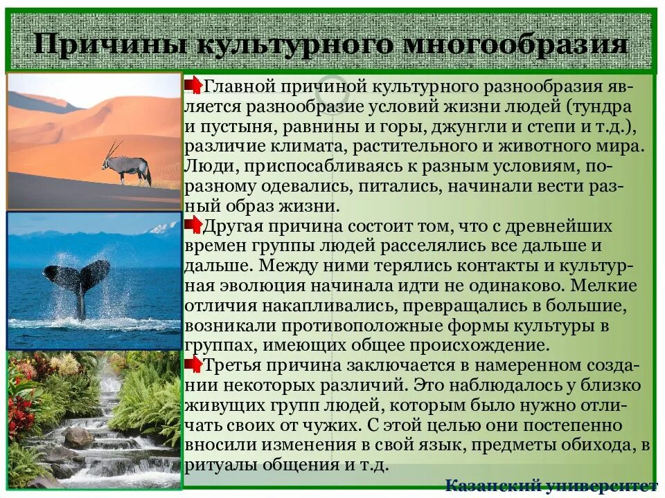 Какие есть плюсы культурного многообразия одной страны. Причины культурного разнообразия. Причины многообразия культуры. Культурное многообразие. Многообразие культур.