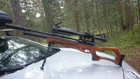 Псп егерь 5.5