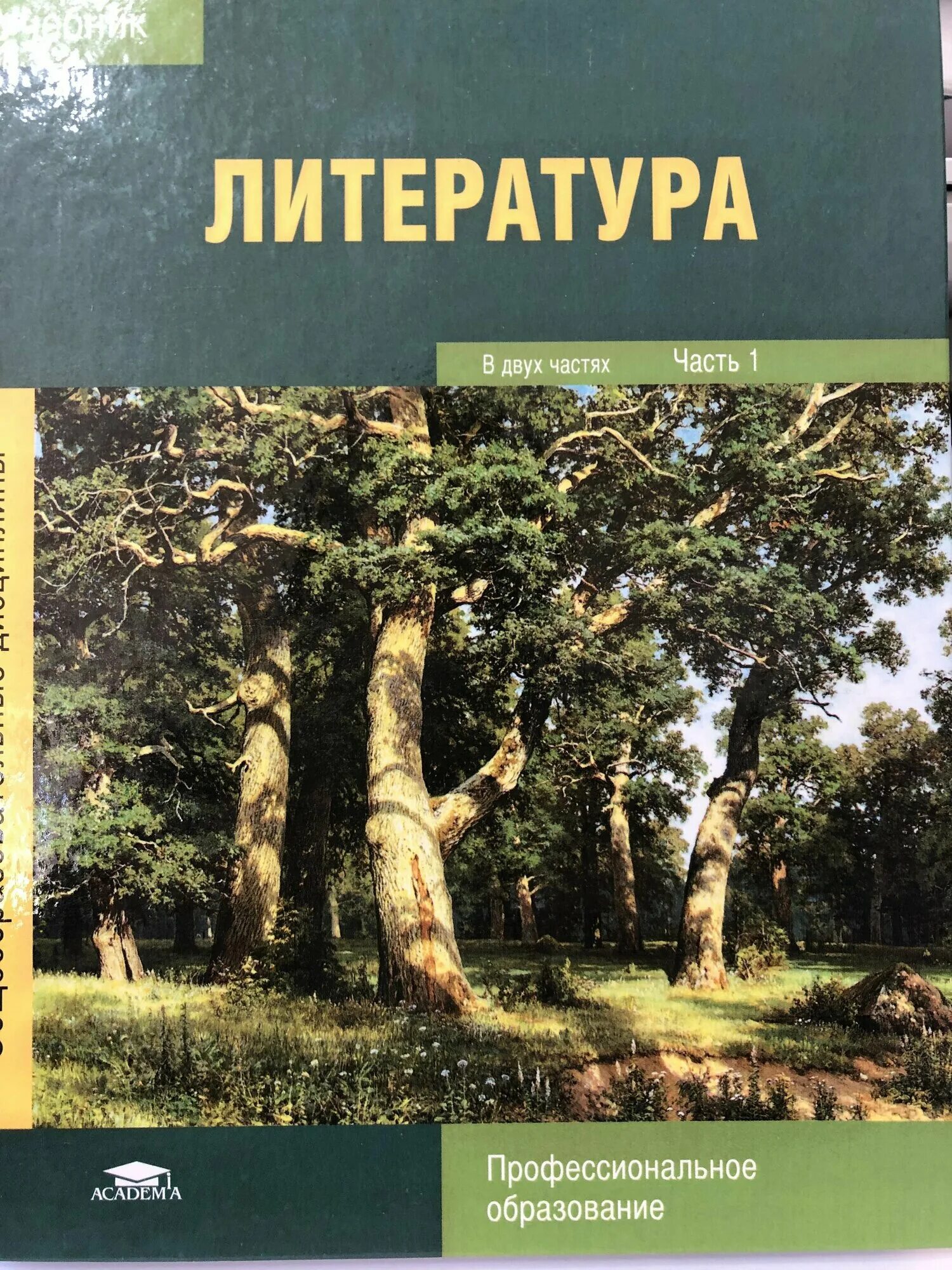 Литература профессиональное образование. Обернихина литература. Учебник обернихина литература. Литература колледж учебник. Учебник по литературе колледж.