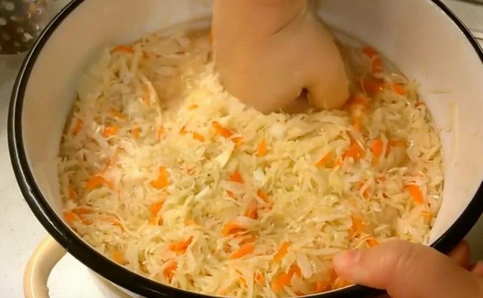 Капуста на зиму в кастрюле хрустящая. Капуста квашеная. соленая капуста в ведре. капуста квашеная в кастрюле. квашеная капуста в тазике.