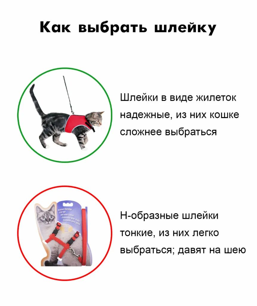 Что давать кошке чтобы не гуляла
