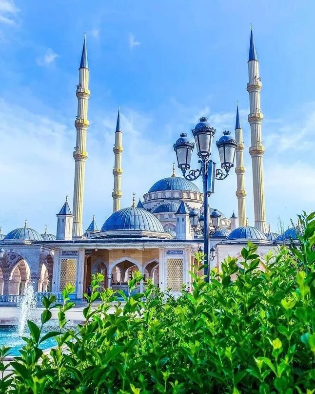 Мечеть рамзана кадырова. Туры в чечню из ессентуков. Экскурсия в чечню из пятигорска. Гранд тур осетия, ингушетия, чечня. Мечеть нур астана внутри.