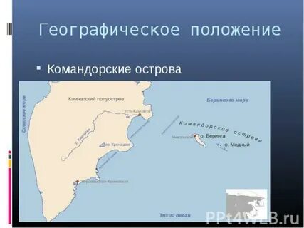 В честь какого мореплавателя названы командорские острова