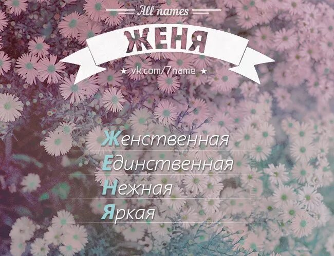 Имя Женя. Имя Женечка. Расшифровка Женя. Расшифровка имени. Клички жене