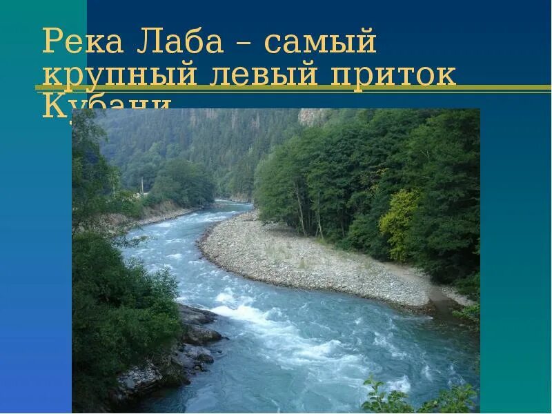 Мир лабы. Исток реки Лаба Краснодарский край. Река Кубань Краснодарский край Адыгея. Река Лаба Адыгея. Река Лаба Курганинск.