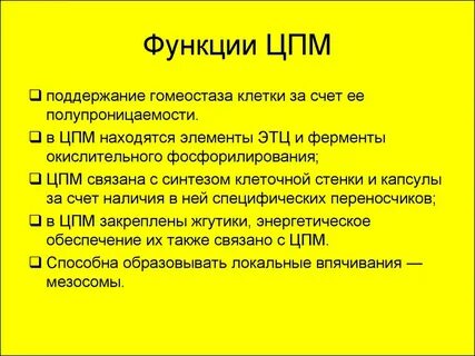 Цпм это