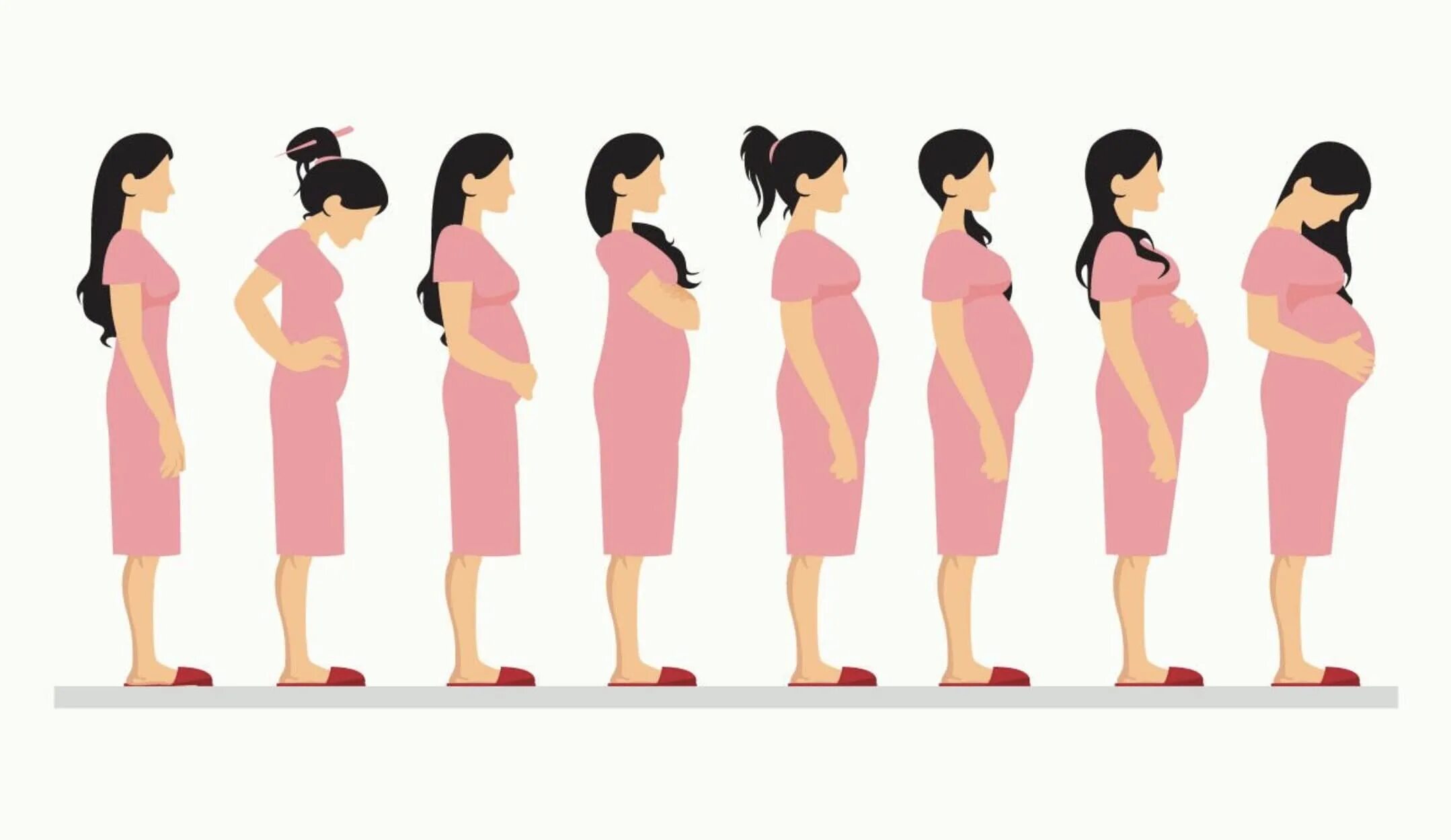 Первая беременность в 37. Этапы беременности. Беременные стадии. Стадий беременности. Стадии беременности по месяцам в картинках.