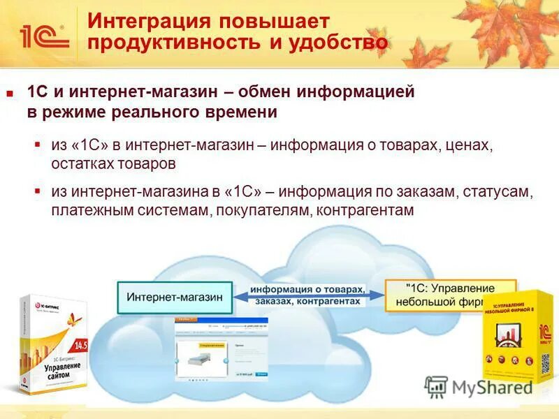 Информация о товаре в интернет магазине. Макет карточки товара. Информация о товаре в интернет магазине. Информация о магазине. Презентация на тему магазин.