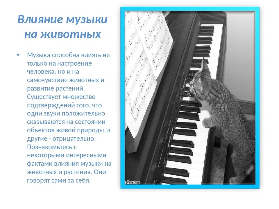 Музыка самое интересное
