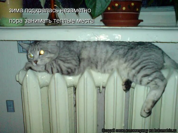 Момоа крадется к кавиллу. Подбирался незаметно. Подбирался незаметно. Пятница подкралась незаметно. Я вас больше не побеспокою.