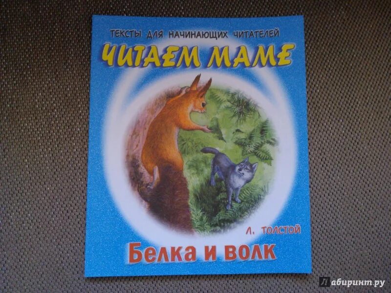 Сказка Толстого л.н. волк и белка. Лев Николаевич толстой белка и волк. Лев Николаевич толстой басня белка и волк. Сказка белка и волк.