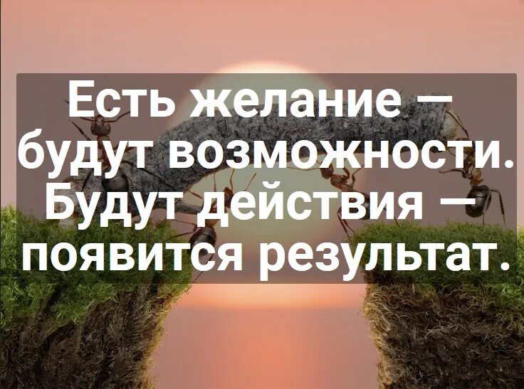 Цель порождает действие