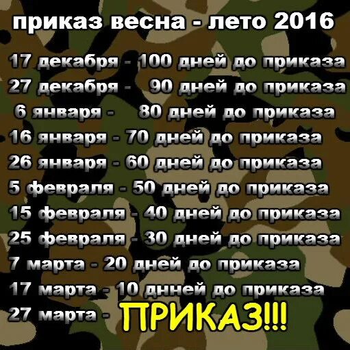 Приказ о дембеле. Приказ об увольнении в запас. Весенний приказ об увольнении в запас.