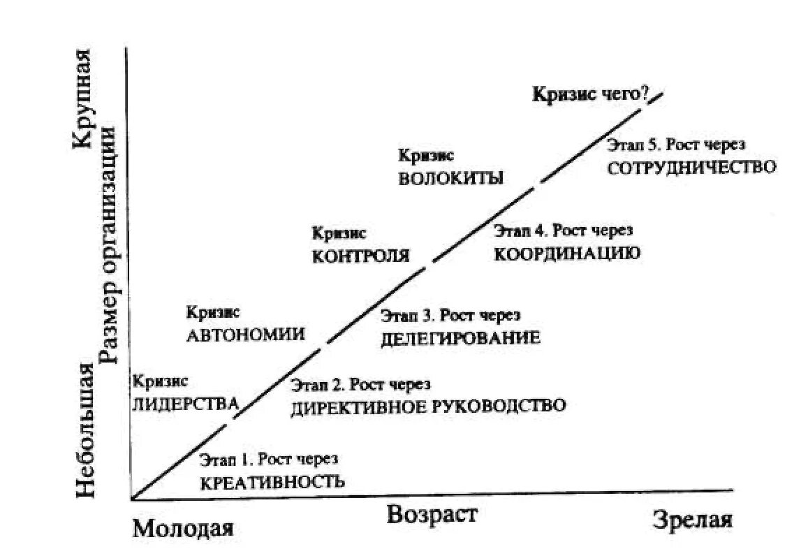 Цикл организации грейнера. Жизненный цикл компании Ларри Грейнер. Модель развития организации Ларри Грейнера. Этапы жизненного цикла по л.Грейнеру. Модель жизненного цикла л. Грейнера.