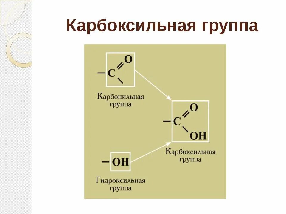 Строение карбоксильной группы. Карбоксильная и гидроксильная группа. Карбонильная группа и карбоксильная группа. Карбонильная карбоксильная гидроксильная. Карбоксильная группа формула.