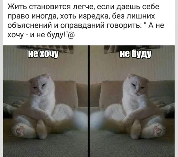 Все не буду. Не хочу. Не хочу не буду. Хочу - не хочу!. Не убудет.