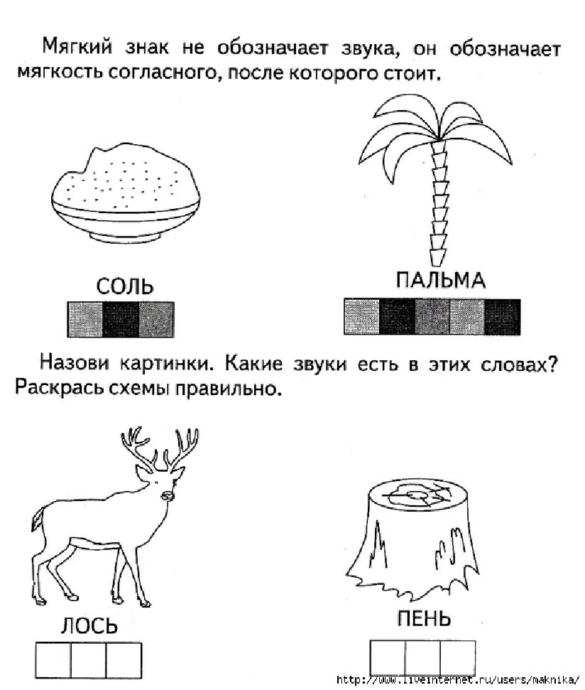 Согласные звуки в слове пень