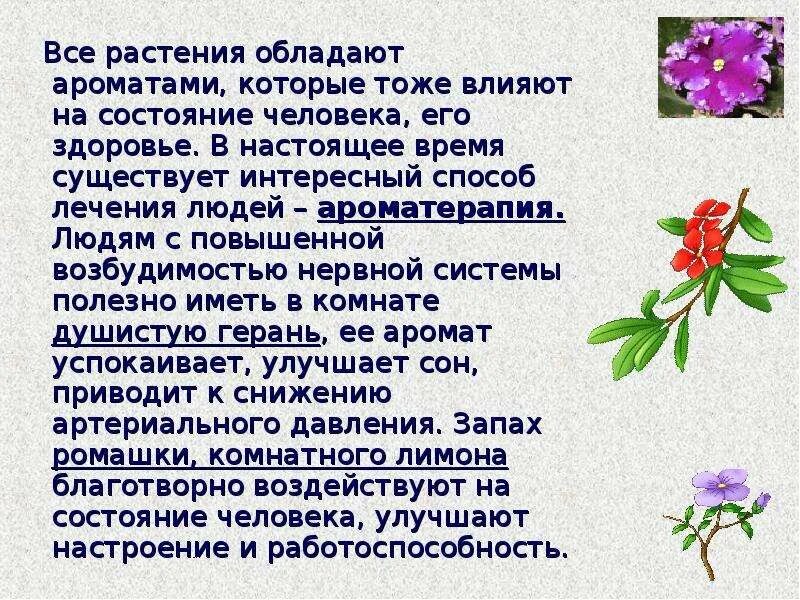 Влияние растений на организм человека. Влияние цветов растений на человека. Цветы для нервной системы. Запахи цветов влияние на организм.