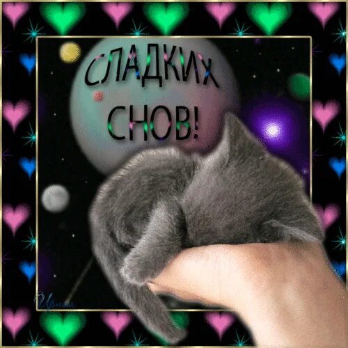 зоорай виртуальный рай для животных. ковдор ул горняков 6. зоорай тольятти официальный сайт ветклиника. зоорай виртуальный рай для животных. лендинг приюта для животных.