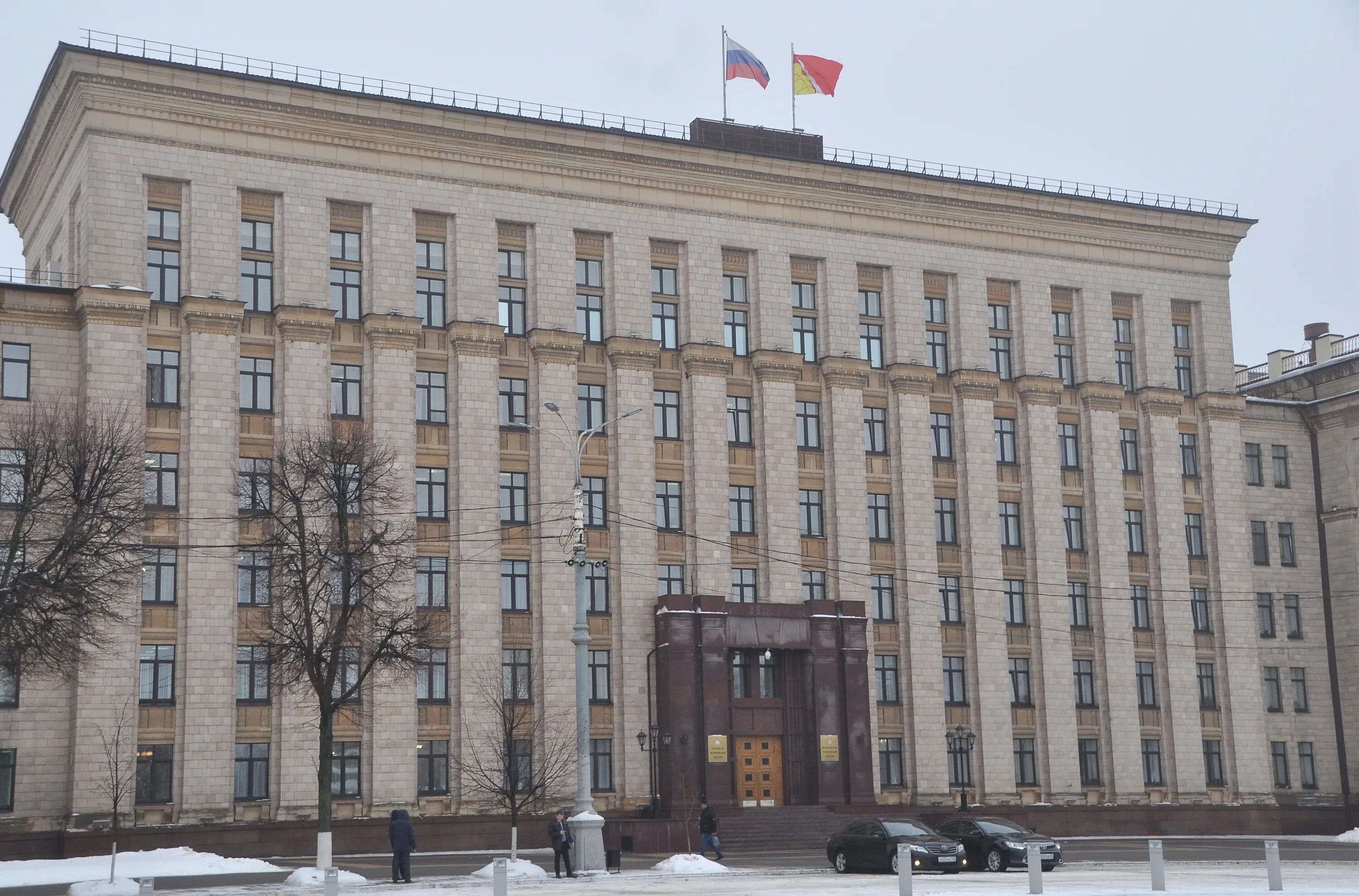 Администрация воронежской телефоны. Здание правительства Воронежской области. Воронежская областная администрация. Правительство области Воронеж. Правительство Воронежской области здание 4 подъезд.