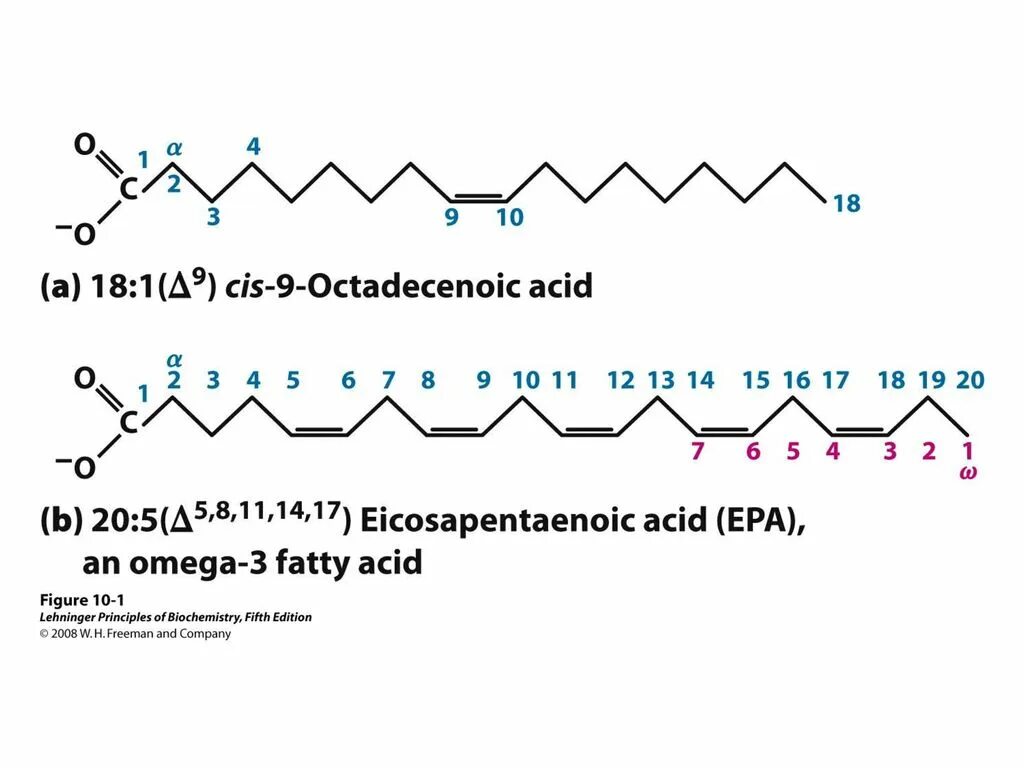 Жирные кислоты у ребенка. Nomenclature of fatty acids. Fatty acid structure. Жирные кислоты. Свободные жирные кислоты.