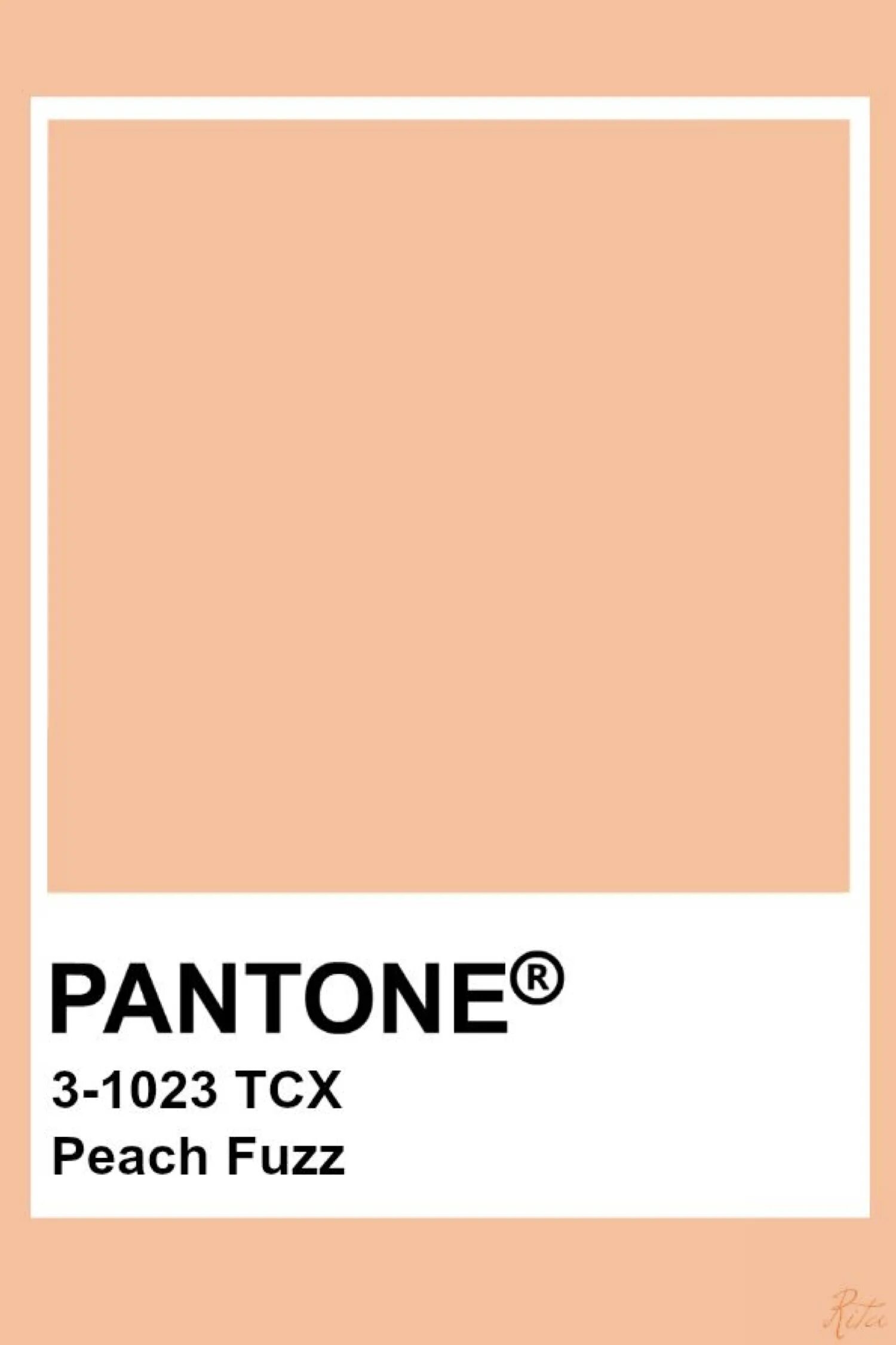 Пантон 2023 палитра. Pantone 15-1530 Peach Pink. Пантон 2029. Оранжевый цвет Pantone. Pantone mushroom