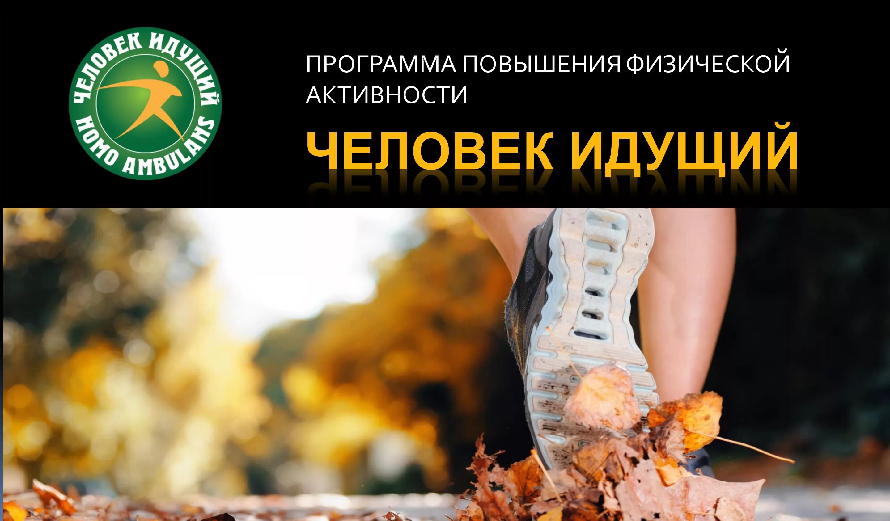 Человечество программа. Человек идущий приложение. человек идущий программа повышения физической активности. человек идущий соревнования. человек идущий проект.