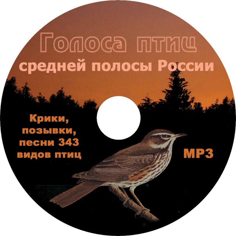 Голоса птиц. Голоса птиц России. Голоса птиц в природе. Голоса птиц средней полосы России. Звуки птиц текст