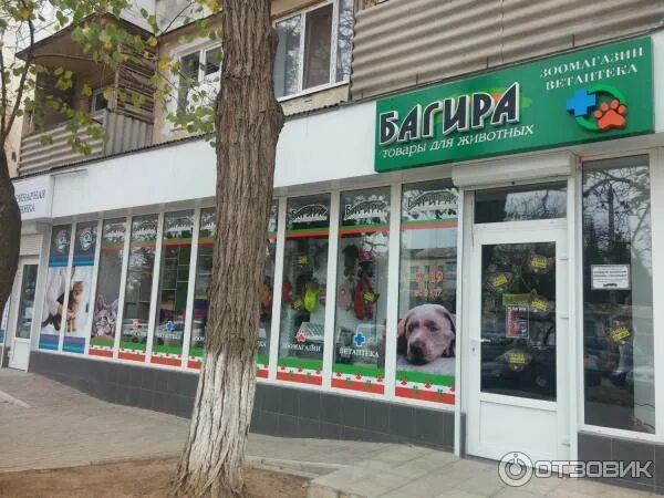 Гостевой дом багира. Гостевой дом багира туапсе. Проспект героев сталинграда 24. Магазин багира севастополь зоомагазин. Проспект героев сталинграда 24.