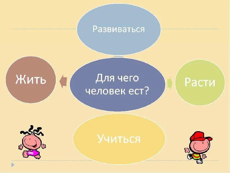 Что и почему мы едим