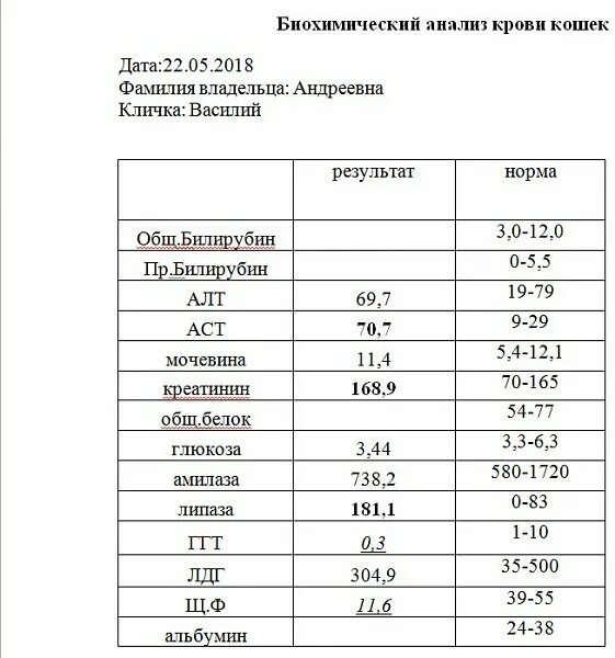 Общий и биохимический анализ в чем разница. Биохимия крови нормальные показатели. Биохимический анализ крови норма таблица сахар. Норма анализов биохимии крови у мужчин. Норма биохимического анализа крови у женщин после 40.