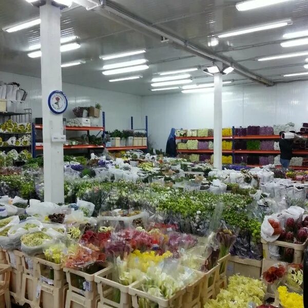 рижский рынок блэк баккара. блэк баккара декор. магазин блэк баккара. блэк баккара цветы рижская. блэк баккара цветы магазин.