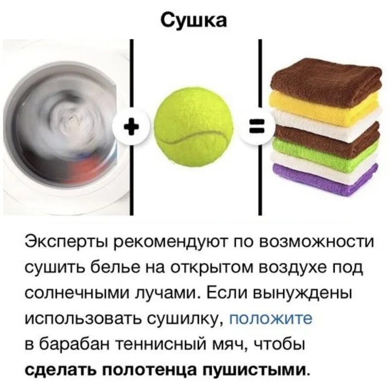 Как сохранить цвет цветов при сушке. Как сохранить цвет цветов при сушке