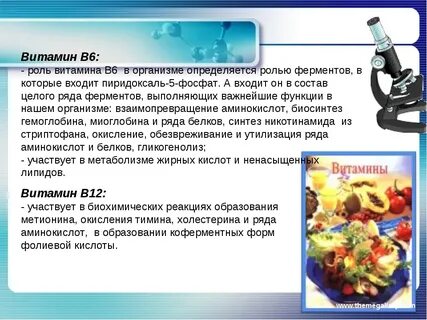 Роль витаминов в обмене белков