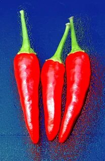 E pepper