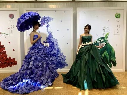 Балапан айқайлайды