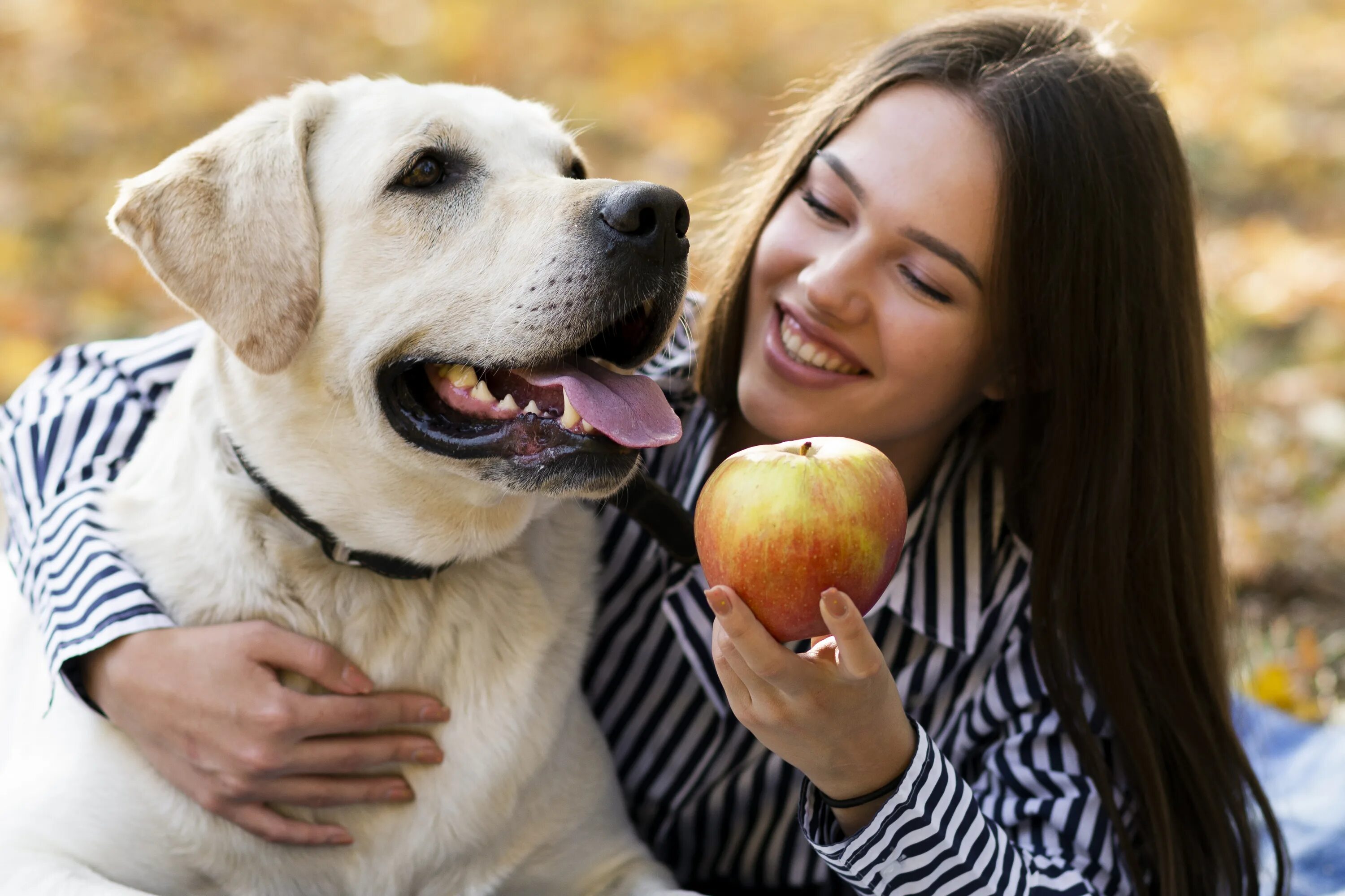 Эпл дог и тд. Эпл дог. Fox&dogs apple pie купить. Малинуа. Эпл дог.