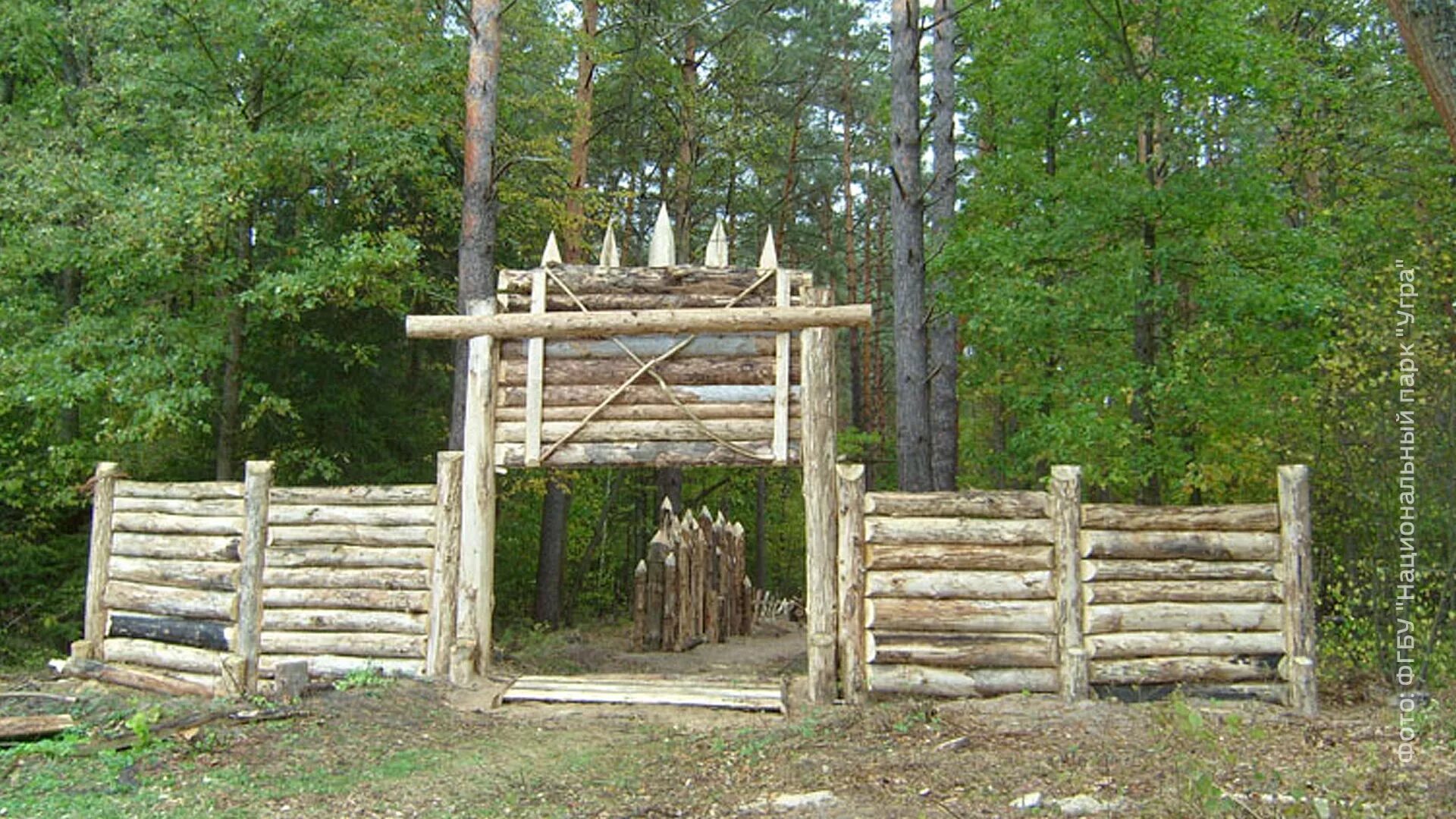 Музей Козельские Засеки Калужская область. Парк Угра Козельск. Музей леса Козельск. Национальный парк Угра Калужская область. Засеки дом