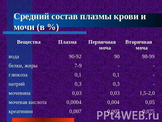 Первичная моча отличается от плазмы крови отсутствием. Состав первичной мочи и плазмы крови. Состав плазмы крови первичной и вторичной мочи. Состав крови плазма состав плазмы. Состав плазмы крови первичной и вторичной мочи таблица.