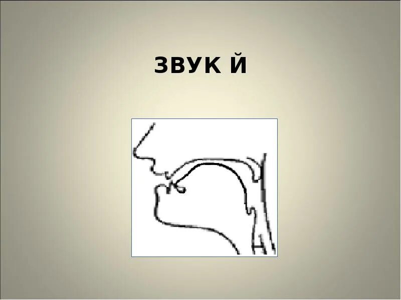 Артикуляция звука й. Произношение звука й. Профиль артикуляции звука й. Правильная артикуляция звука й. Артикуляция г