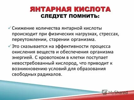Роль янтарной кислоты